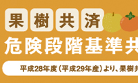 農業共済組合様　A4両面チラシ