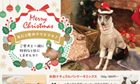 ペットフード販売会社様　A5・4Pチラシデザイン