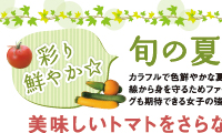 フリーペーパー 夏野菜特集